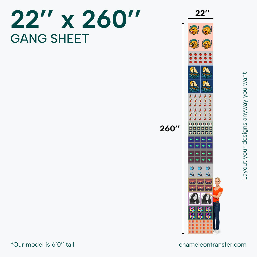 Gang sheet with dimensions 22" x 260" and examples of designs.