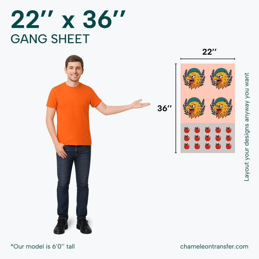 Person next to a 22'' x 36'' gang sheet with a sample design and dimensions.